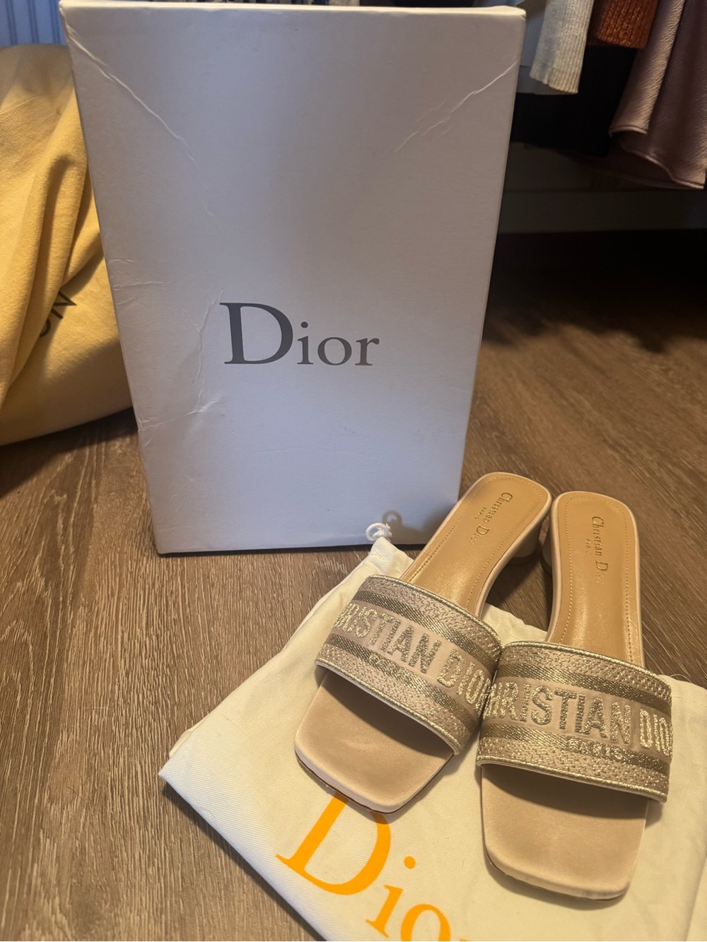 Dior Diorevolution Calfskin Slide Sandals in Beige and Silver